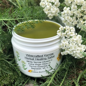 Yarrow, Wild White, Herbal Salve, Wildcrafted, Organic, Herbal oil image 1