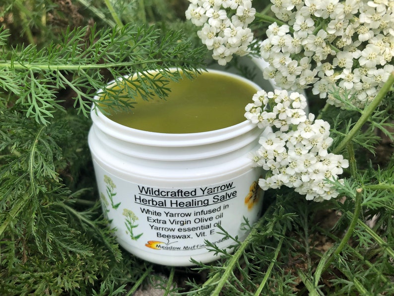 Yarrow, Wild White, Herbal Salve, Wildcrafted, Organic, Herbal oil image 1