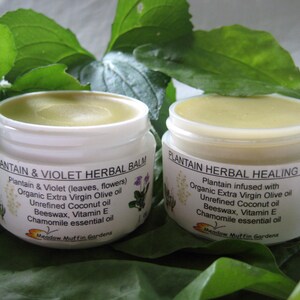 May include: Two small jars of herbal balm, one labelled "Plantain & Violet Herbal Balm" and the other labelled "Plantain Herbal Healing Balm". Both jars are white with green labels and contain a light green balm.