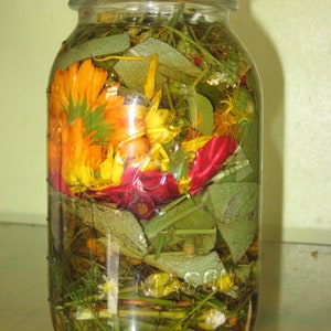 Herbal Raw Vinegar Toner/Astringent, Facial Care, Skin Care, Vinegar Herbs Infusion, Lavender essential oil