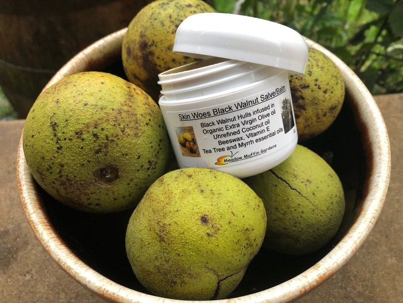 Black Walnut Hull Skin Issues Salve/Balm, Juglans nigra, Coconut oil, Tea Tree and Myrrh essential oils image 5