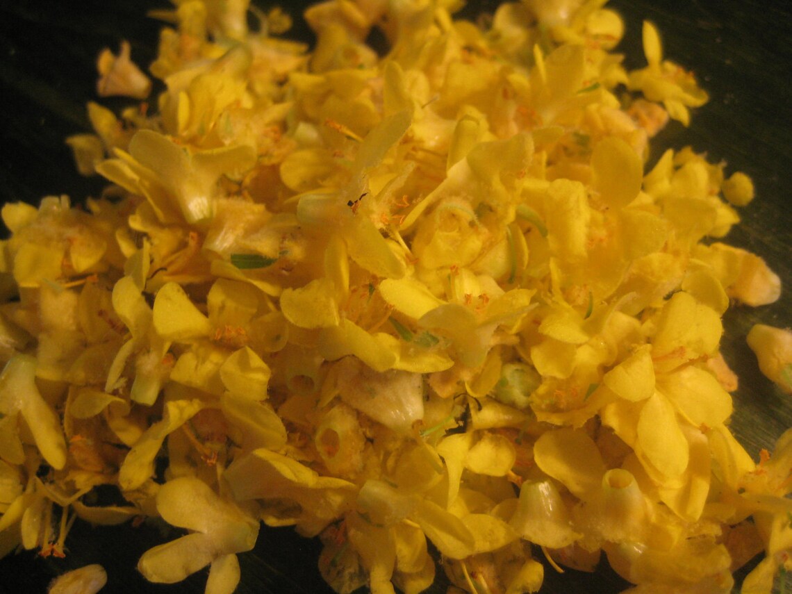 Herbal Garlic Ear Oil Earache Pain Etsy