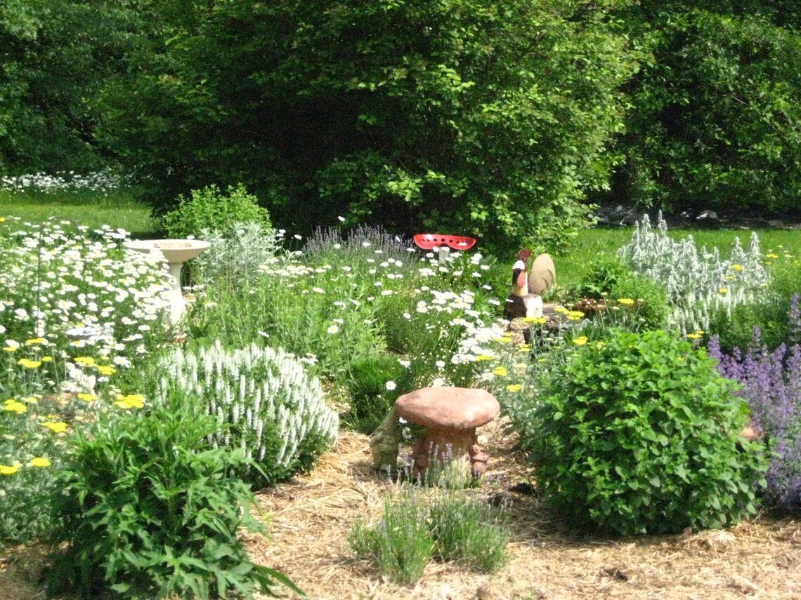 Insect Bug Bite Flea Deterrent Herbal Vinegar Body Spray Etsy