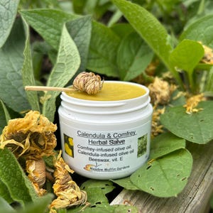 Herbal Balm/Salve for Pets or People, Calendula, Comfrey