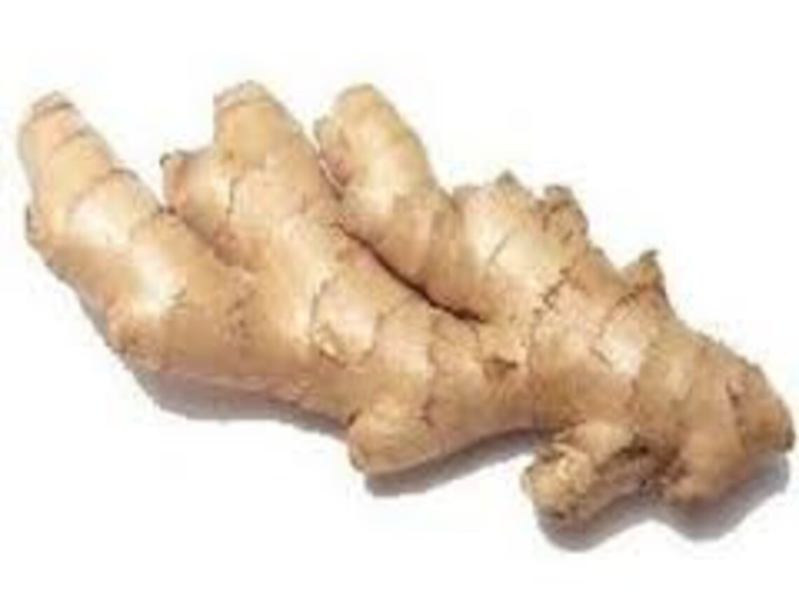 Fresh Ginger Root Massage Oil Reflexology Pain Relief Etsy