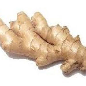 Fresh Ginger Root Massage Oil, Reflexology, Pain, Warming zdjęcie 2