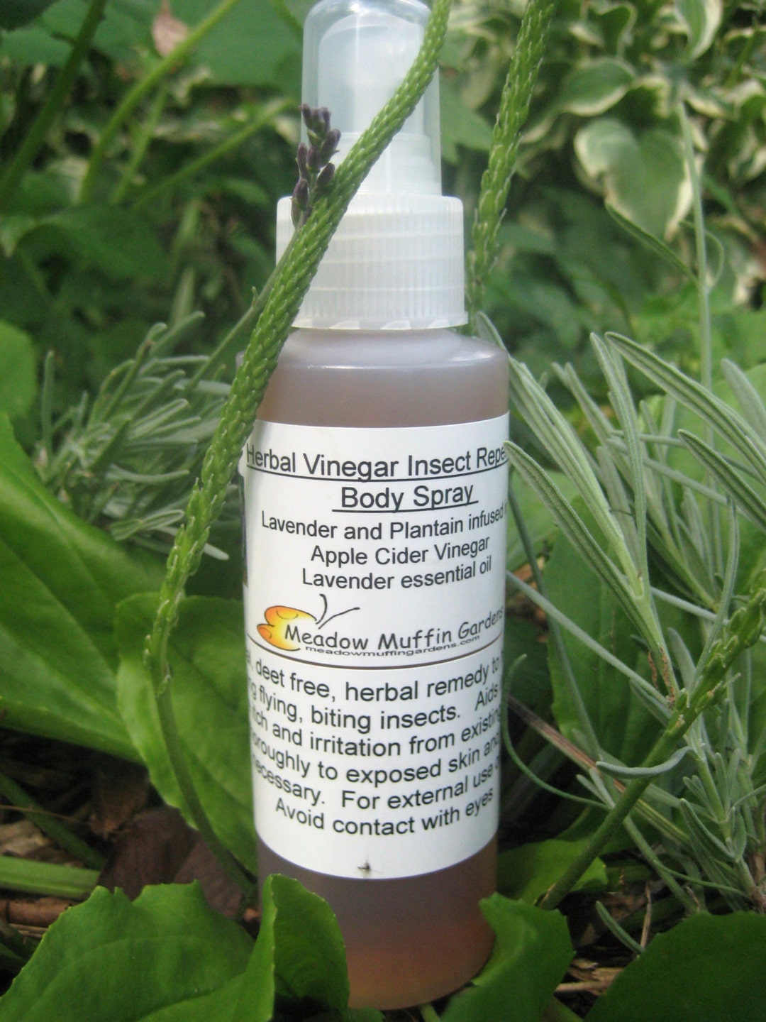 Apple cider vinegar top mosquito repellent for dogs