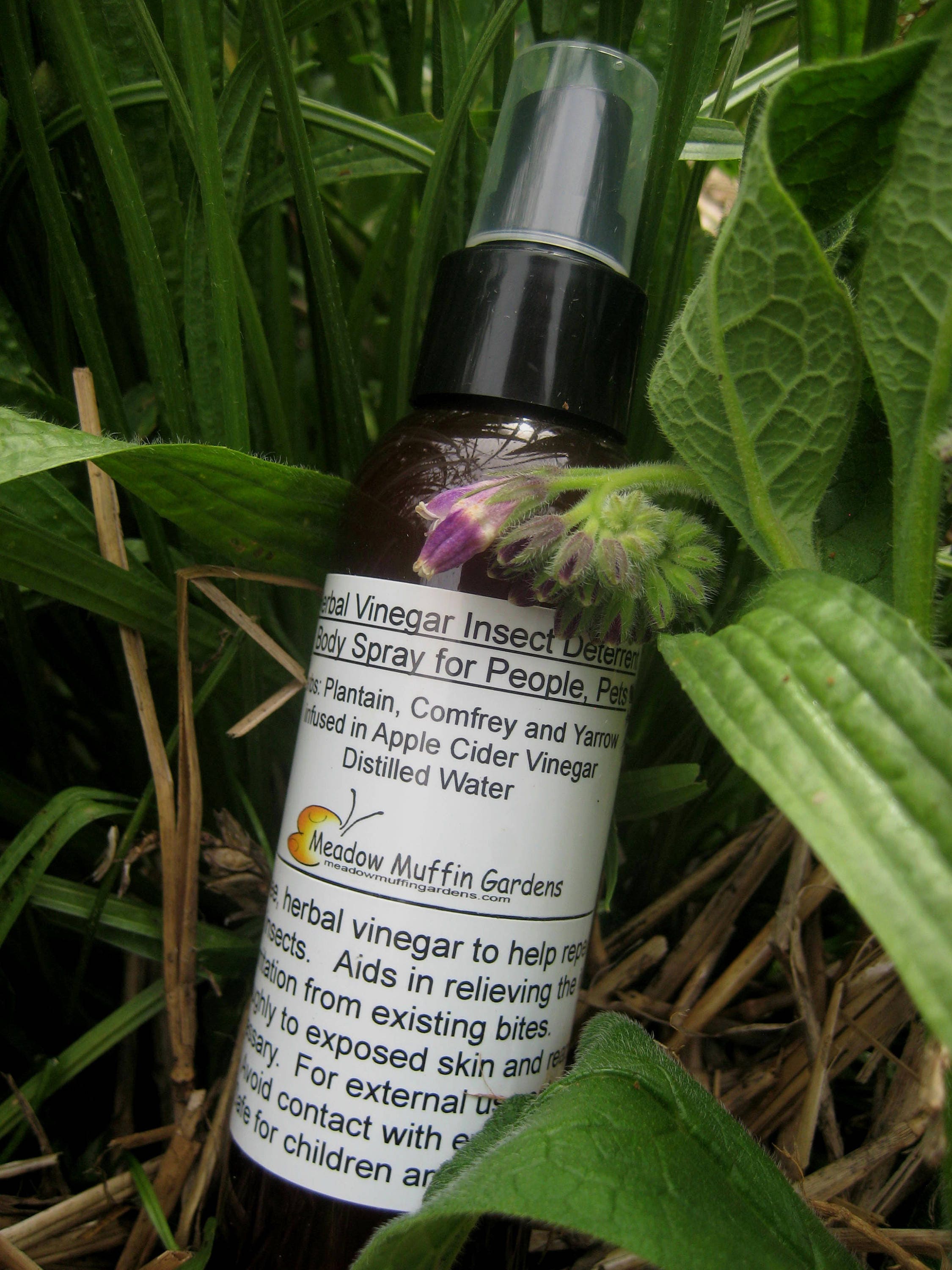 Insect Bug Bite Flea Deterrent Herbal Vinegar Body Spray Etsy