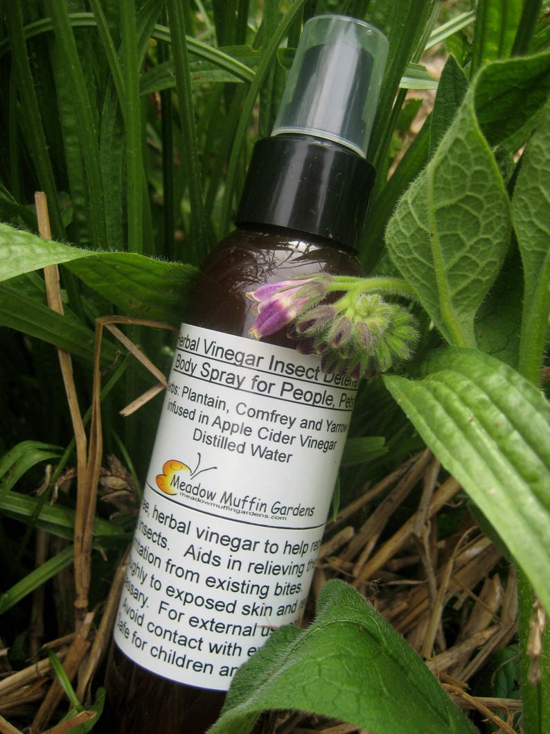 Insect Bug Bite Flea Deterrent Herbal Vinegar Body Spray Etsy