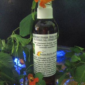 Jewelweed Vinegar Spray, Poison Ivy, Stinging Nettles image 1