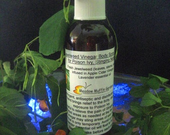 Jewelweed Vinegar Spray, Poison Ivy, Stinging Nettles