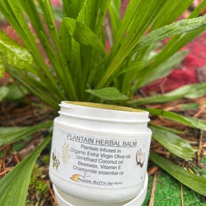 Pet Balm, Plantain, Chamomile, Coconut Oil, Herbal Salve, Dogs, Cats