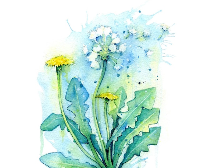 Рисуем одуванчики акварелью по мокрому