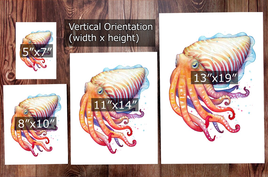 Cuttlefish : Art Print Colorful Cuttlefish Watercolor Painting - Etsy