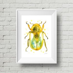 Gold Scarab Beetle: watercolor art print