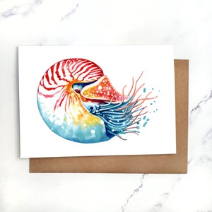 Nautilus / Biglietto d'auguri vuoto all'interno / Biglietto A7 5x7" con busta / Set opzionale