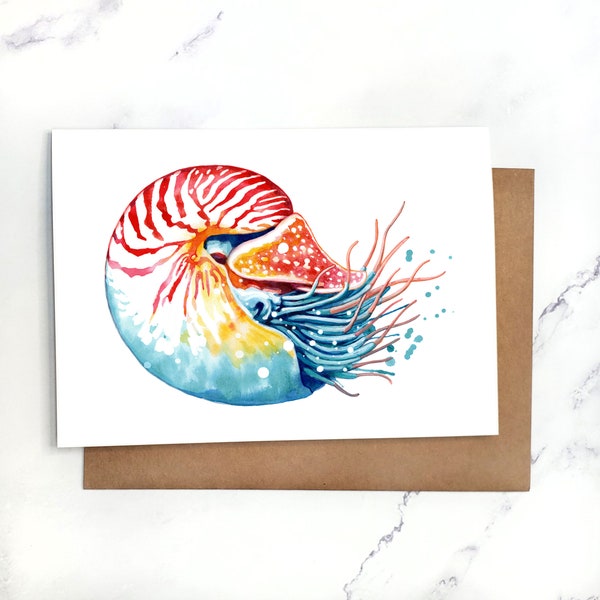 Nautilus | Greeting Card Blank Inside | A7 5x7" Card With Envelope | Sets Optional