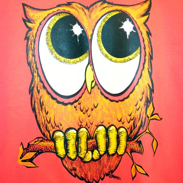 1970's Vintage Owl transfer T-shirt by Roach