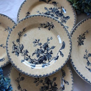 Stunning Antique Ironstone Blue Floral Plate with Patina - Opaque Porcelain de GIEN model Fleurs Normandes - French  Terre de Fer - 1800s -