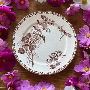 Sarreguemines Carmen - Etsy