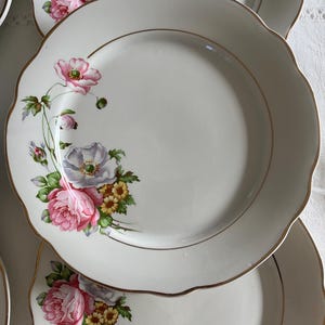French SARREGUEMINES Dinner Plates - Anemone Flowers with Gold Rim Pattern - Veritable Opaque - Stamped