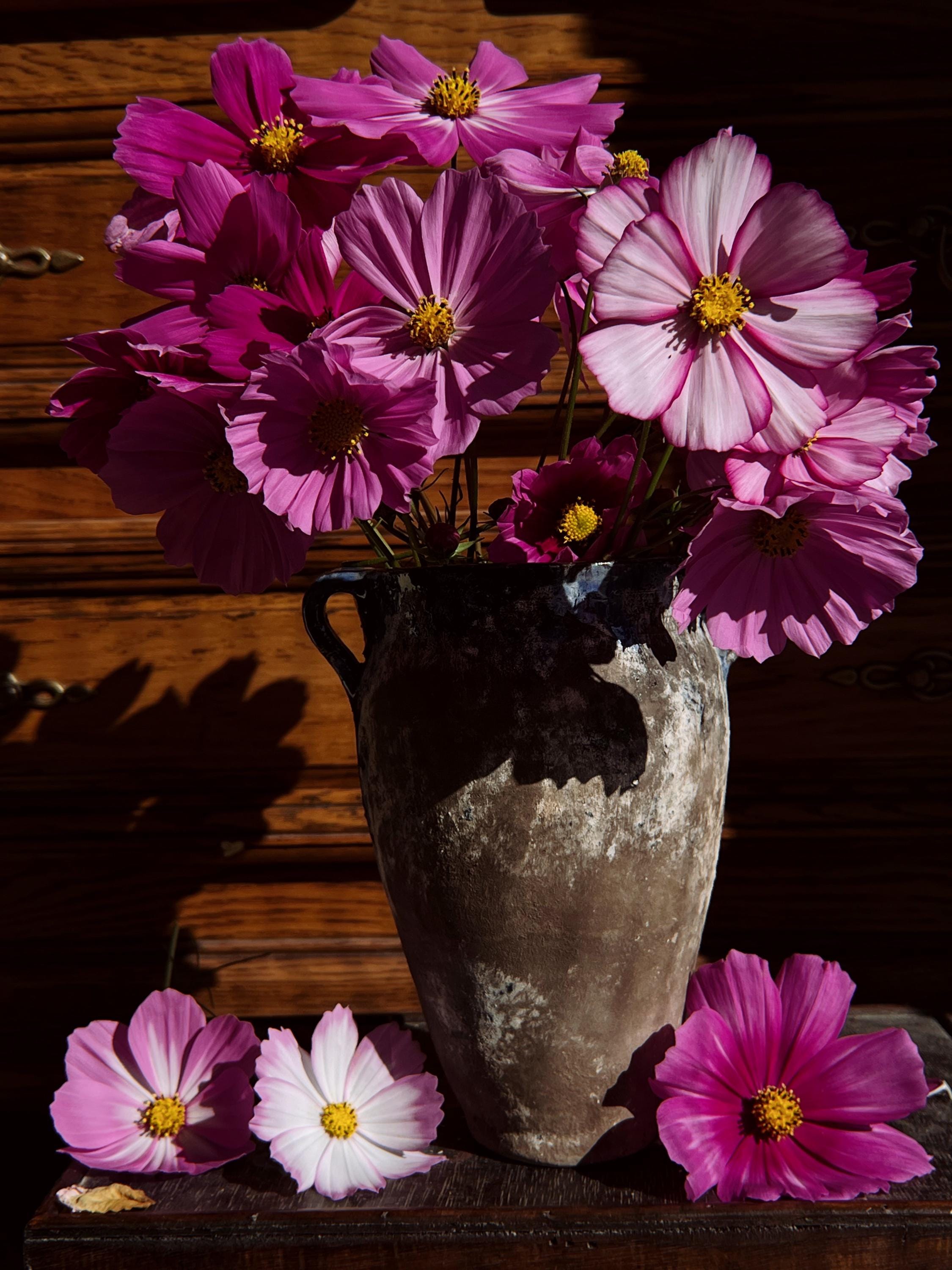 AnythingVintageFR - Etsy