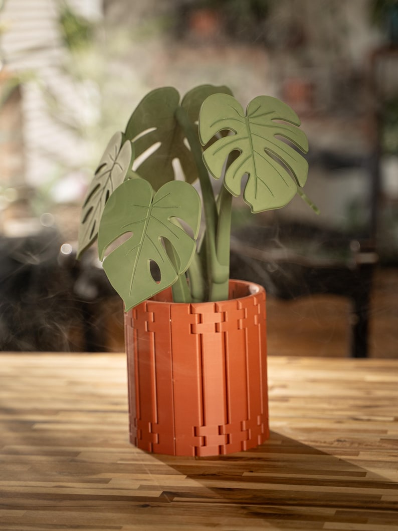 May include: A decorative plant with large, green leaves in a terracotta-colored pot. The pot has a geometric design. The plant is a Monstera, also known as a Swiss cheese plant, and is displayed on a wooden surface.