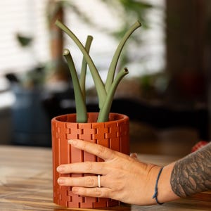 May include: A terracotta-colored, rectangular planter with a geometric design, holding green, curved plant stems. The planter is being held by a hand. The background is blurred, suggesting an indoor setting.