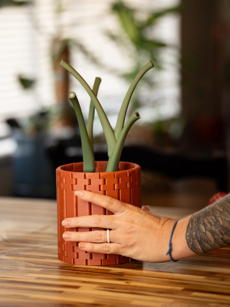 May include: A terracotta-colored, rectangular planter with a geometric design, holding green, curved plant stems. The planter is being held by a hand. The background is blurred, suggesting an indoor setting.