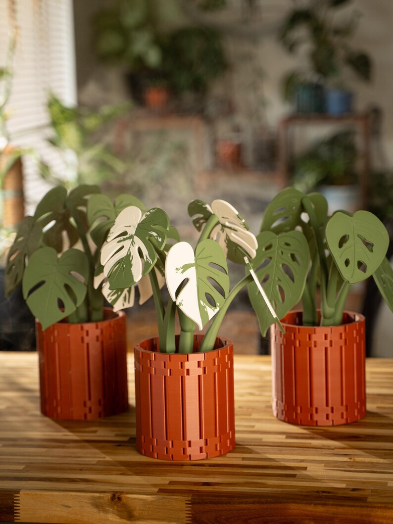 May include: Three decorative potted plants with green and white leaves in terracotta-colored pots. The pots have a vertical slat design. The plants are arranged on a wooden surface.