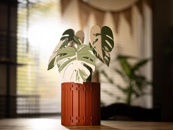 Monstera Coaster Set & Couch Arm Rest Table 3D Printed Decorative Plant Pot with Albo, Adonsonii And Deliciosa Leaves, Home Décor Gift