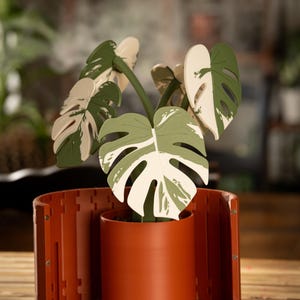 May include: A decorative Monstera plant with green and white leaves in a terracotta-colored pot. The plant is surrounded by a matching terracotta-colored, curved, slotted screen. The plant is on a wooden surface.