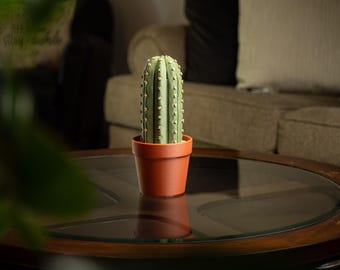 Cactus Chess Set – Succulent Chess Board in Pot | Unique Chess Pieces & Storage | Botanical Game Gift Fun Chess Set | Plant Chess Set