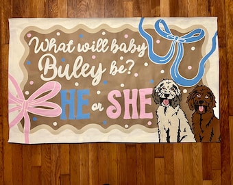 Custom Hand-Painted Gender Reveal Banner | Personalized Gender Reveal Decor | He or She Party Decor | Boy or Girl Banner Party Decor