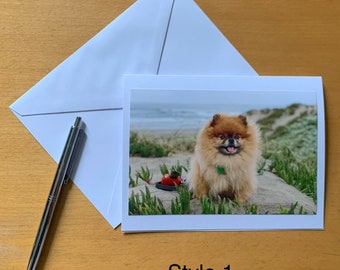 Pomeranian at the Beach Blank Greeting Card (Choose from 2 Styles) - Photo Note Card - Proceeds go to Dog Rescue!