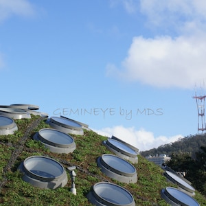 Living Roof San Francisco - OPTION: 4x6 Print Only or Blank Photo Card