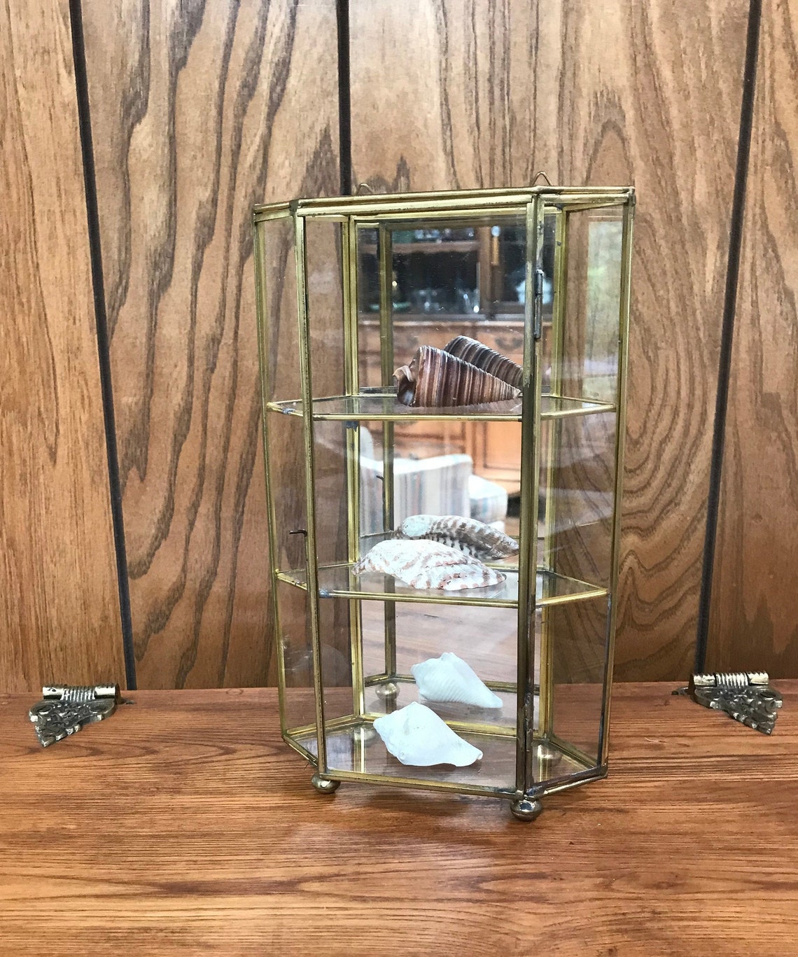 Small Glass Display for Collectibles Miniatures Brass Etsy