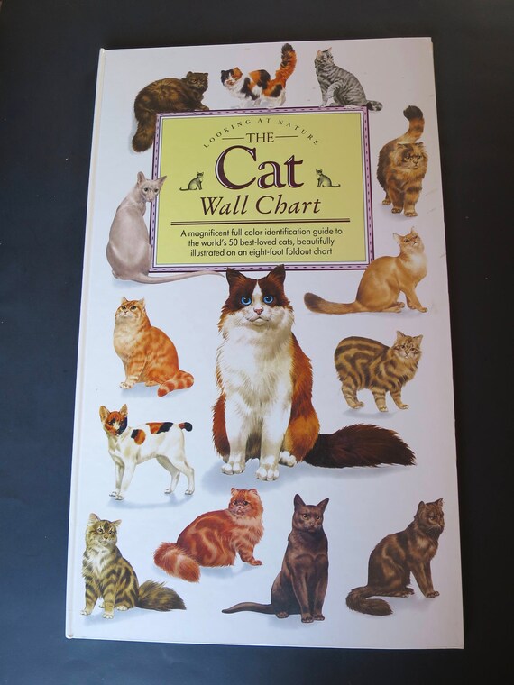 Pure Bred Cat Book XL Folio Book 12 X 20.5 Inches 8 Ft