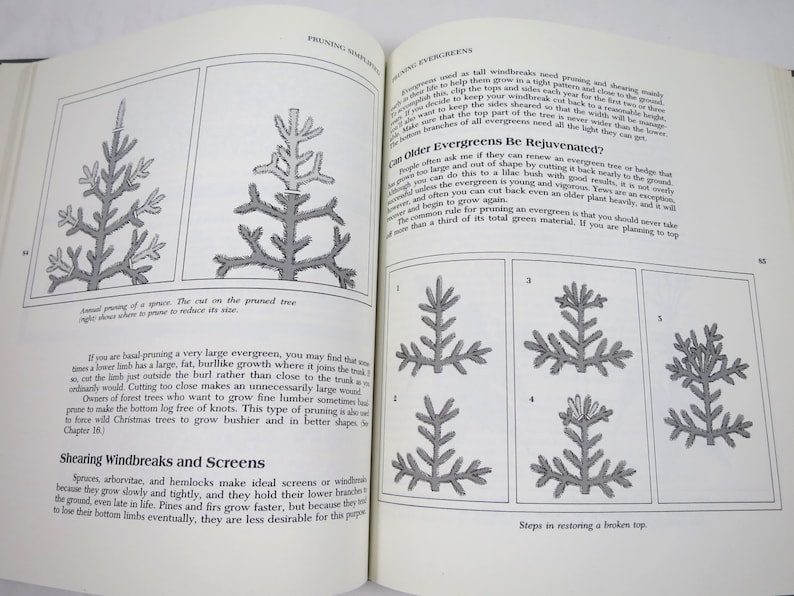 Proning Reference Pruning Simplified Book Shrubs, Trees, Bushes Fruit, Fir Trees, Vines ...
