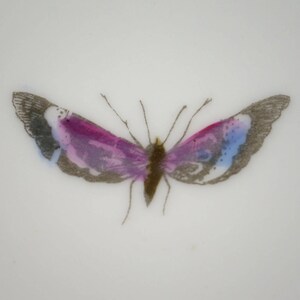 Puede incluir: Una mariposa delicada con alas rosadas, azules y grises est&aacute; pintada sobre un fondo blanco. Las alas de la mariposa est&aacute;n extendidas y su cuerpo es marr&oacute;n.