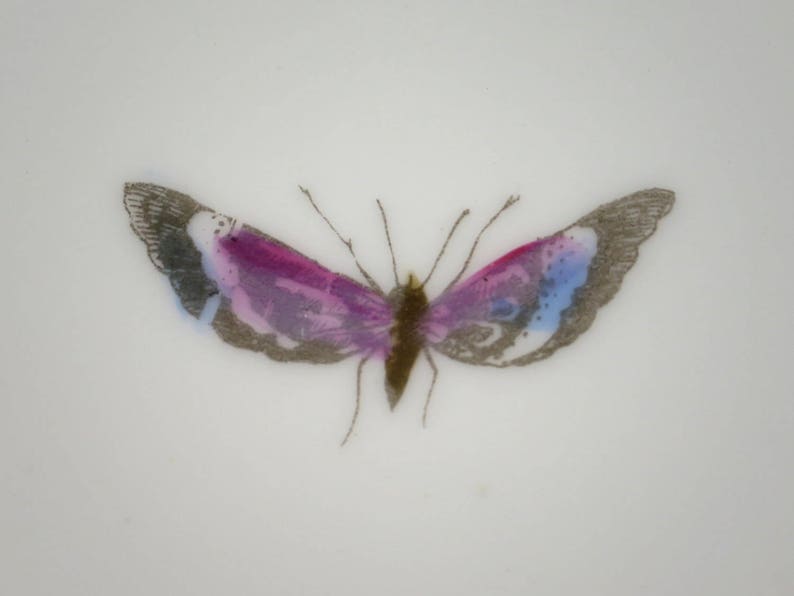Puede incluir: Una mariposa delicada con alas rosadas, azules y grises est&aacute; pintada sobre un fondo blanco. Las alas de la mariposa est&aacute;n extendidas y su cuerpo es marr&oacute;n.