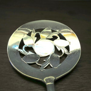 May include: A silver serving spoon with a decorative cutout design of stylized flowers and leaves. The spoon has a round, flat head and a long, slender handle.