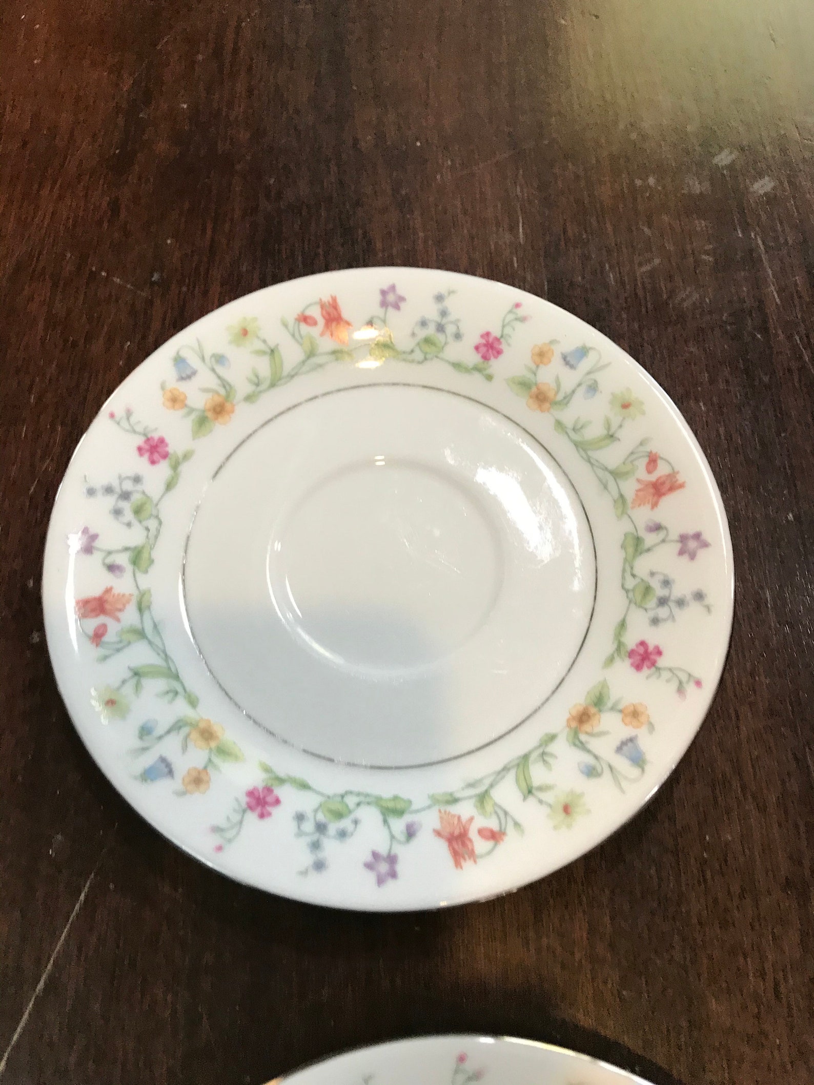 Sea Gull China Two 2 Saucers Pastel Flower Border Silver Rim Etsy