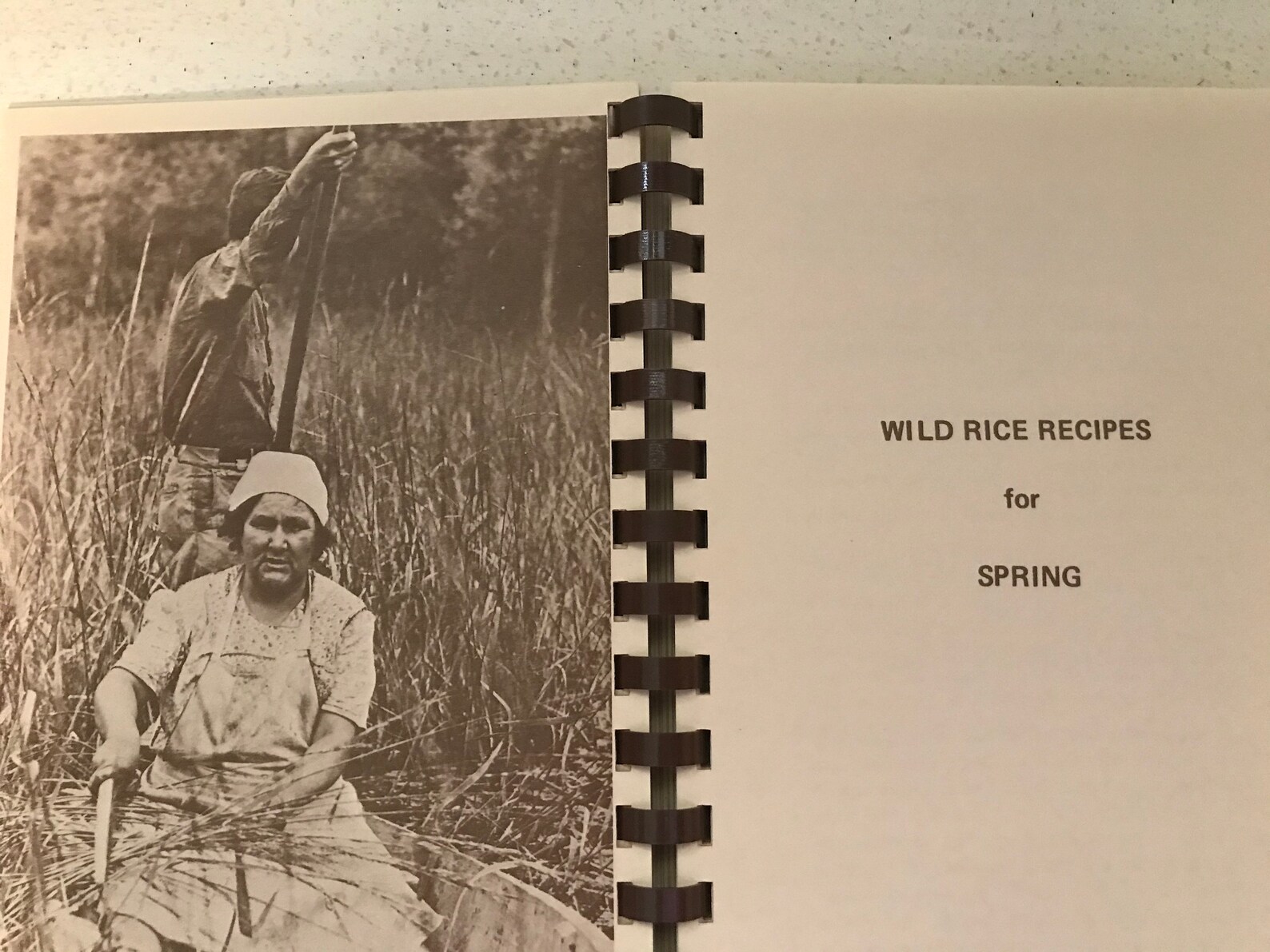Wild Rice Cookbook Native American Seasonal Wild Rice Recipes Etsy
