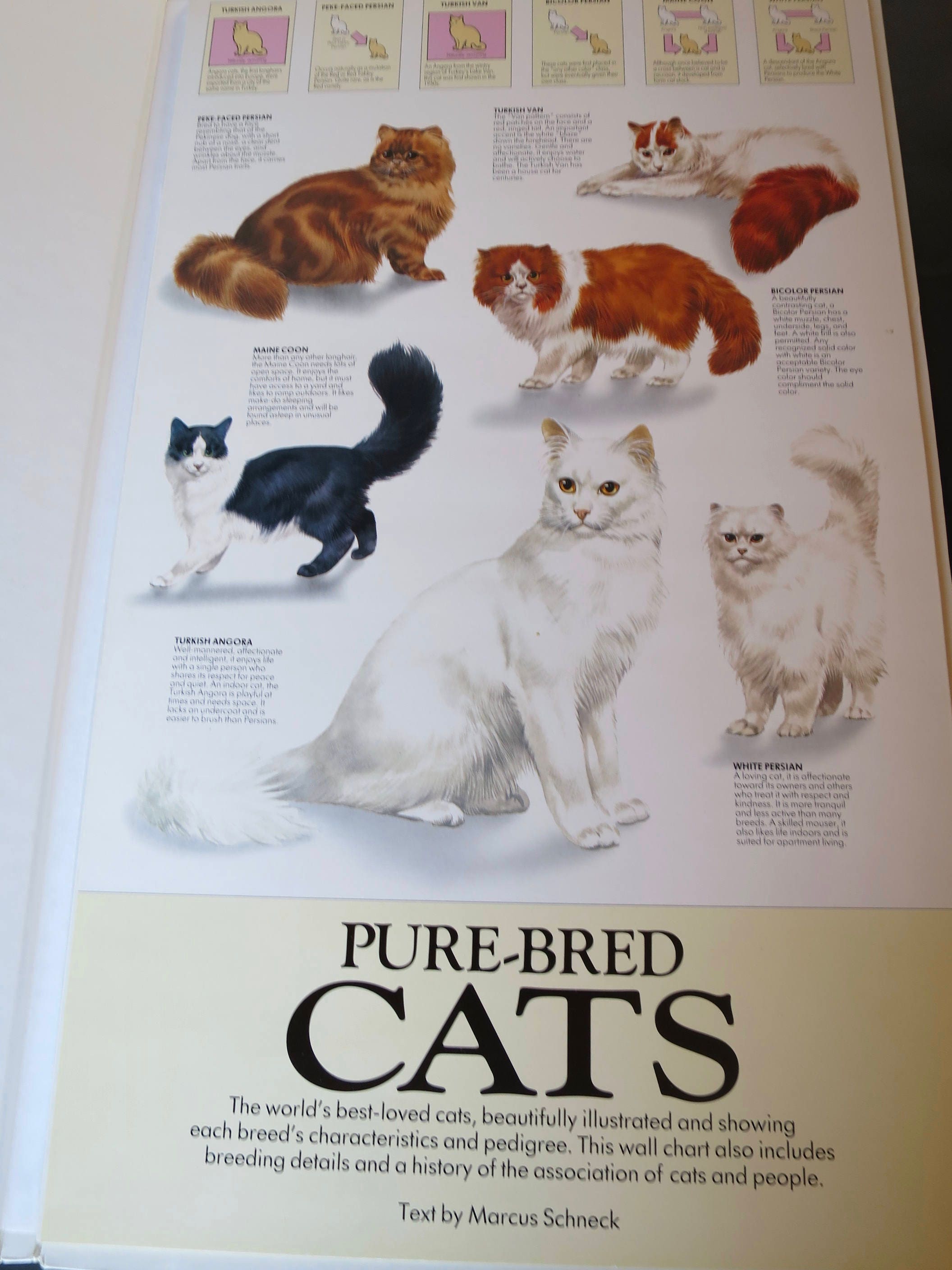 本256／洋書　図鑑　all the World's Cat Breeds The Illustrated Encyclopedia of Cat Breeds: The