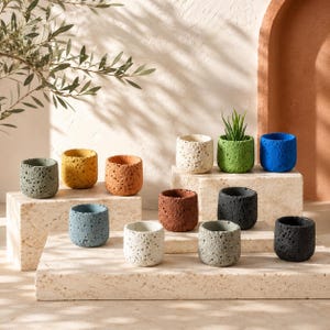 Nordic Cement Succulent Planter, Volcanic Stone Style Indoor Plant Pot, Minimalist Rustic Home Decor, 15 Colors