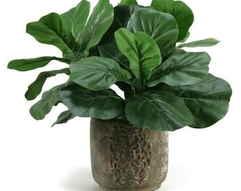 Artificial Magnolia Leaf Branches – Realistic Faux Greenery Stems (3 Pack)