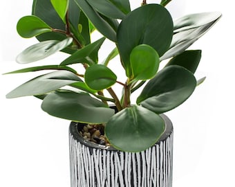 Artificial Succulent Plant in Rustic Black Planter – Faux Potted Home