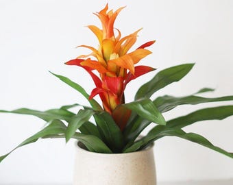Artificial Hawaiian Ginger Flowers – Real Touch Faux Tropical Plants (2 Pack)