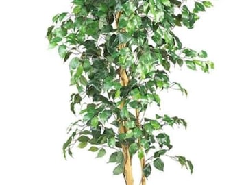 6FT Artificial  Tree with White Planter – Realistic Faux Plant